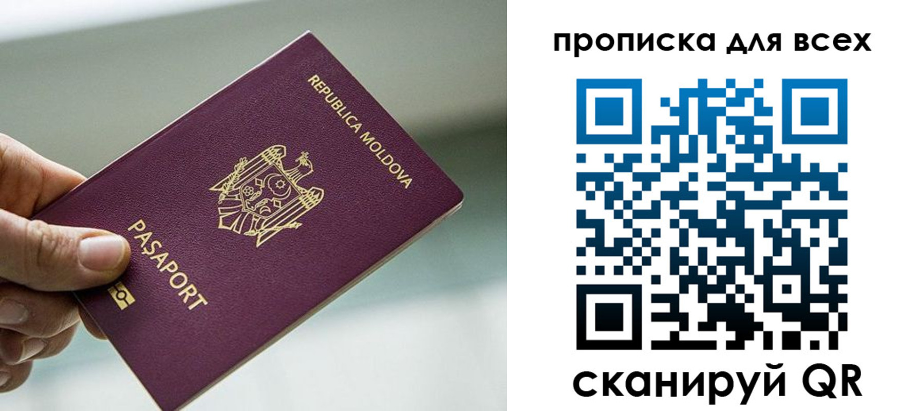 прописка иностранных граждан в Скопине